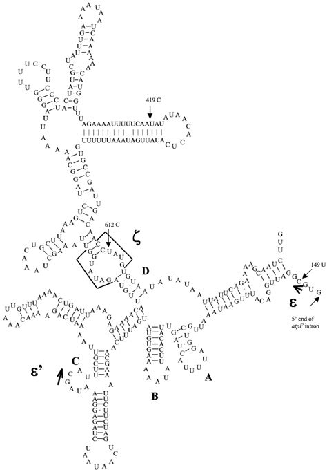 Schematic Representation Of The Predicted Secondary Structure Of Domain