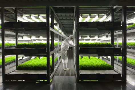 Are Indoor Farms The Next Step In The Evolution Of Agriculture The