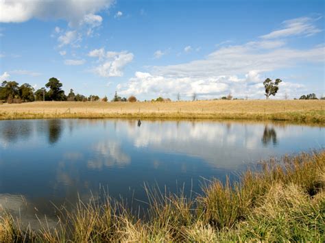 Enhancing Farm Dams For Long Term Sustainability Rivers Of Carbon