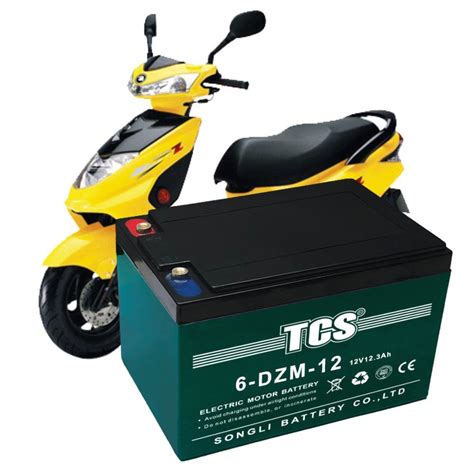 TCS 6 DZM 12 Scooter Electric Bike Motorbike Electric Motorcycle