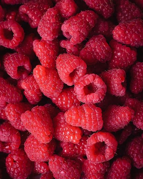 Petits choux à la framboise – Leaf