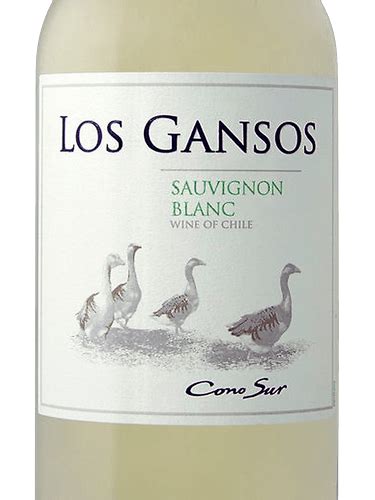 2019 Cono Sur Los Gansos Sauvignon Blanc Vivino