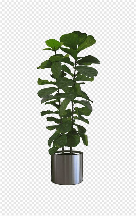 Green Leafed Plant Icon Potted Plants Leaf Plant Stem Png Pngegg