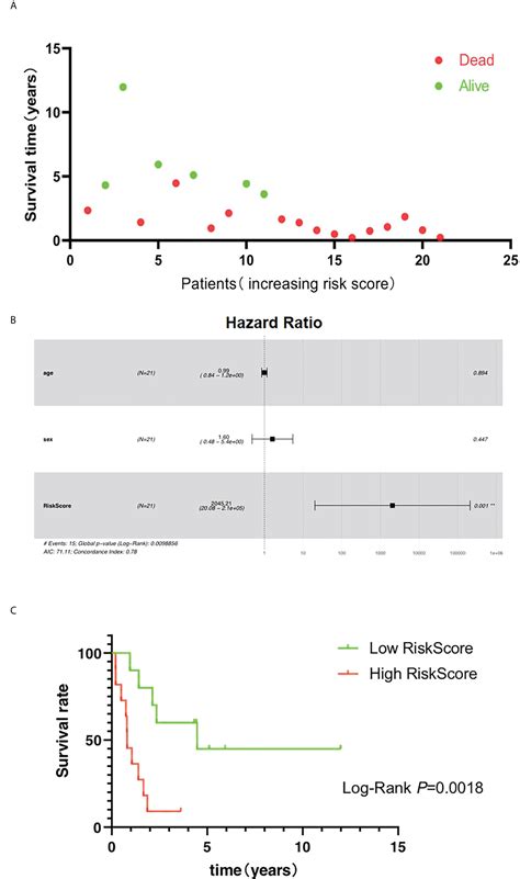 Frontiers Pkib Involved In The Metastasis And Survival Of Osteosarcoma