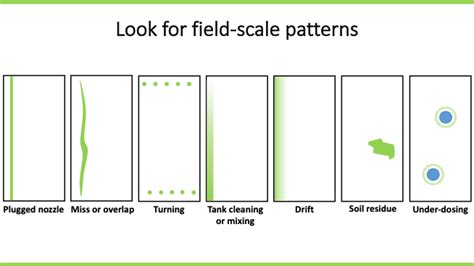 Pre Harvest Weed Scouting And Herbicide Resistance Alberta Grains