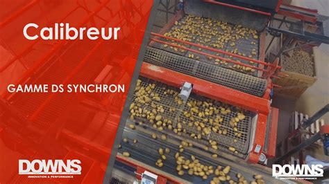 Calibreur à mailles pour pommes de terre DOWNS DS SYNCHRON YouTube