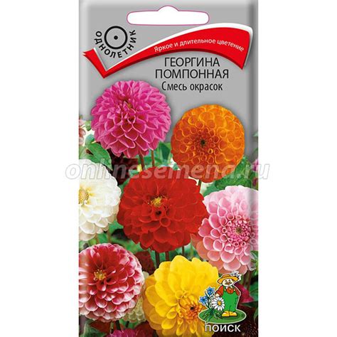 Георгина помпонная Смесь окрасок из каталога Семена цветов – купить с ...