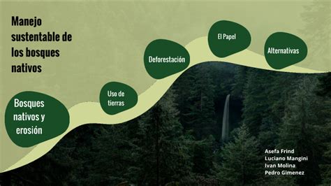 Manejo Sustentable De Los Bosques Nativos By Lucho Mangini