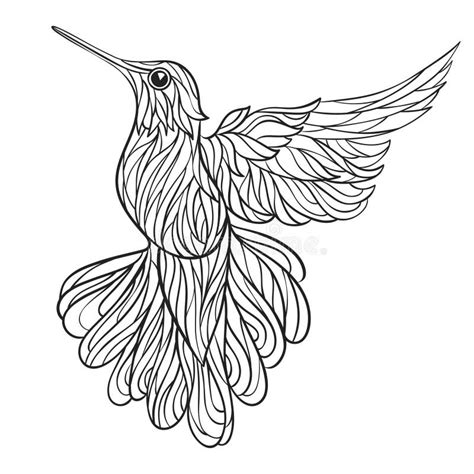 Gezeichnete Illustration Des Vektors Einfarbige Hand Von Colibri Vektor