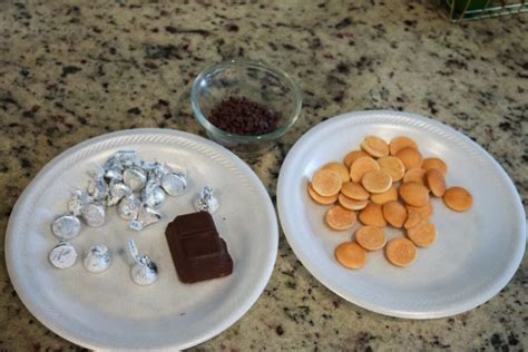 Chocolate Acorns | Recipes for Kids | PBS KIDS for Parents