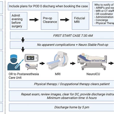 Flow Chart Describing Outpatient Management In Brain Tumor Resection