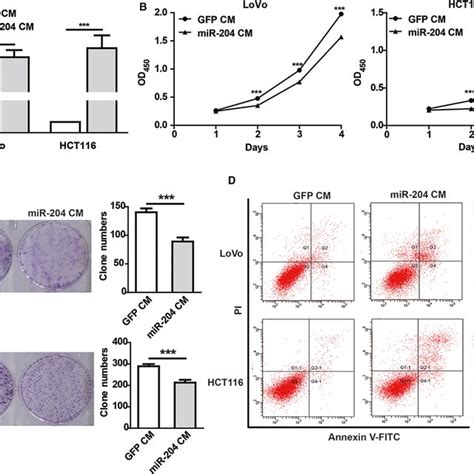 Exosomal Mir‐204‐5p Inhibits Crc Cells Proliferation And Induces