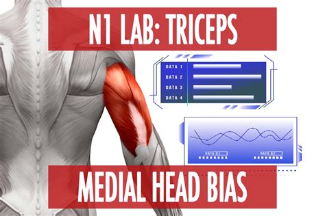 N1 Lab: Triceps Medial Head Bias - N1 Training