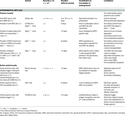 Selected Models Of Mpo Anca Associated Renal Vasculitis Download