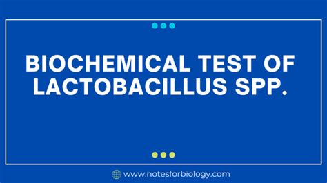 Lactobacillus spp. - Biochemical Test