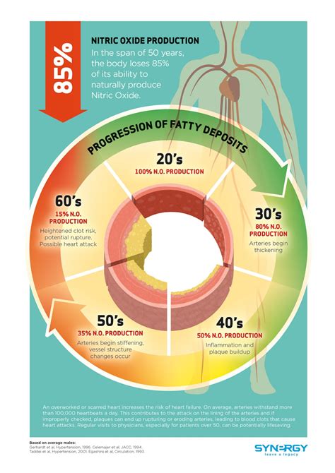 New Nitric Oxide Infographic Synergy Worldwide Blog United States