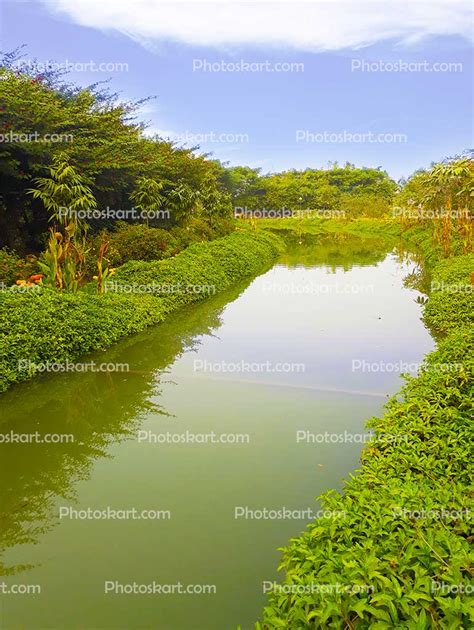 Freshwater Marsh - 770x1024 Wallpaper - teahub.io