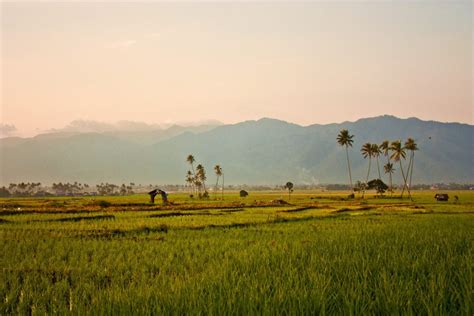 Solo Sumatra Jungle Trek Dates - Wild Sumatra