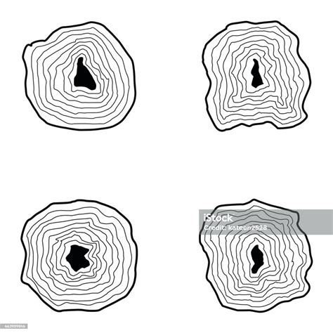 Koleksi Cincin Pohon Ilustrasi Stok Unduh Gambar Sekarang Alam