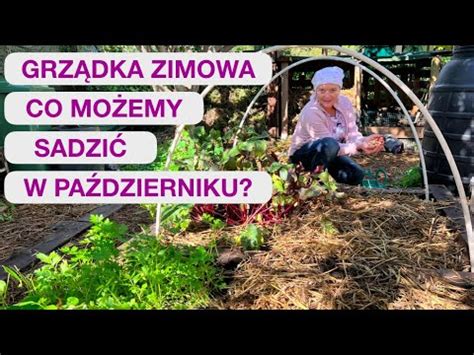 CO MOŻNA SADZIĆ W PAŹDZIERNIKU YouTube