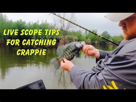 Tips For Catching Crappie With Live Scope From Js Jigs And Guide