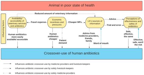 Antibiotics Coveerage Chart