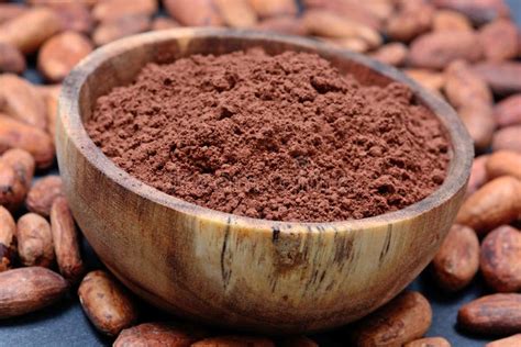 Many Cacao Beans With Powder In A Bowl On Slate Stock Photo Image Of