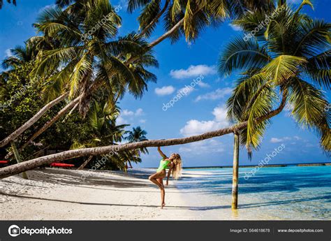 Schöne Frau Bikini Auf Einer Palme Paradiesischen Strand Der Malediven Stockfotografie