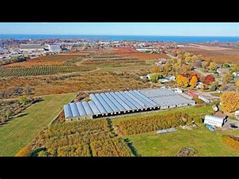 Ontario Farm For Sale 4 Acres Greenhouse Farm In St Catherine For