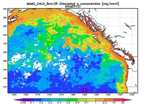 Rogue Geoengineering Experiment Creates Massive Algae Bloom in Pacific ...