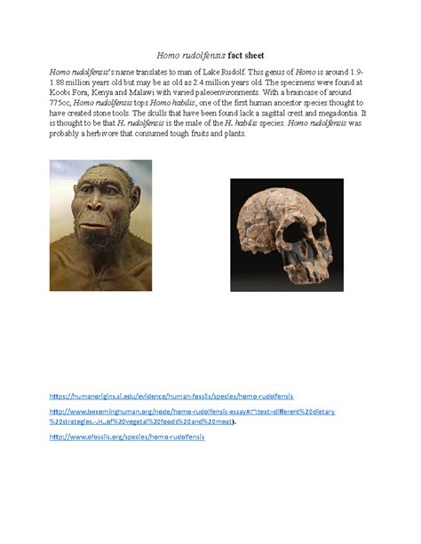 Mod Fact Sheet Homo Rudolfensis Fact Sheet Homo Rudolfensiss Name