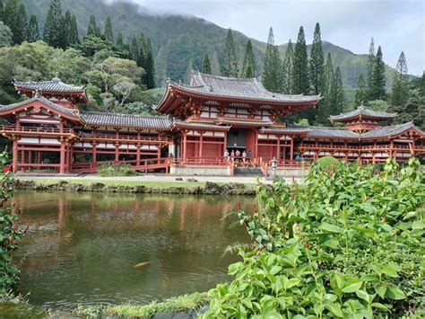 Royal Star Hawaii Deluxe Tours Honolulu All You Need To Know Before