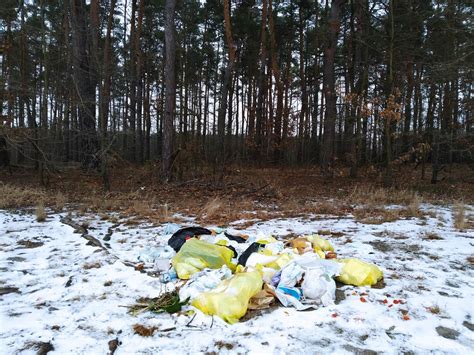 Śmieci w lasach nadal są dużym problemem Radom ESKA pl