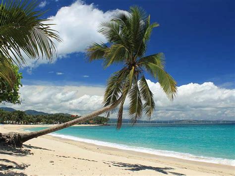 Top 10 Beaches in the Philippines