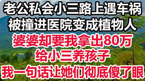 老公私会小三路上遇车祸，被撞进医院变成植物人，婆婆却要我拿出80万，给小三养孩子，我一句话让她们彻底傻了眼！ Youtube