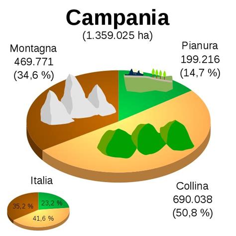 Pie Chart Showing The Number And Percentage Of Pies In Different