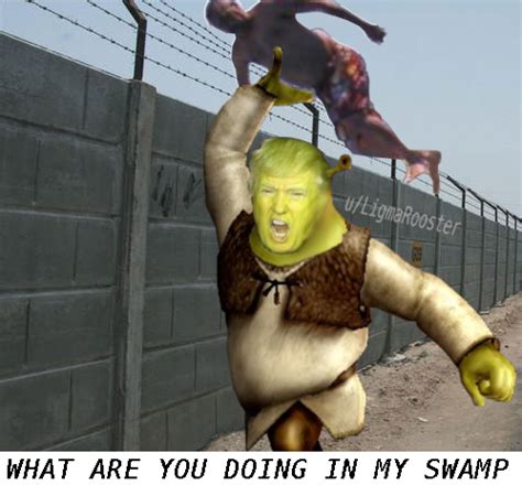 GET OUT OF MY SWAMP! : r/memes