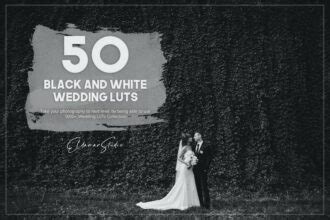 Best Wedding Luts Free Pro For Fcpx Premiere Pro Theme Junkie