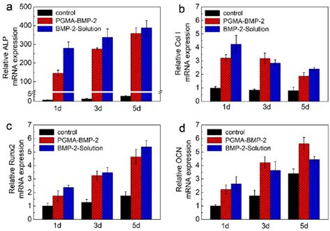 Effect Of Pgma Bmp 2 And Free Bmp 2 In Solution On The Expression Of