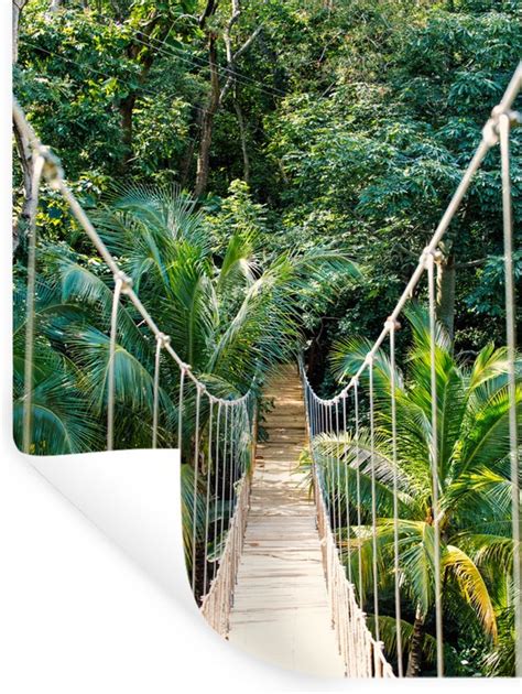 Muurstickers Sticker Folie Jungle Palmboom Brug Natuur