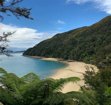 15 Best Beaches in New Zealand – Fjords & Beaches