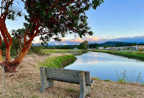 Arbutus Tree Parksville Beach Surfside Rv Resort Rest In A Trailer Lake