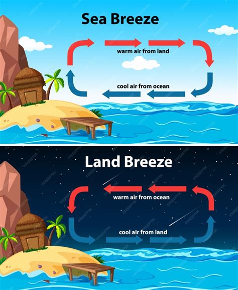 Diagrama Que Muestra La Brisa Marina Y Terrestre Vector Gratis