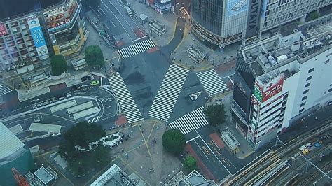 渋谷最高峰の地上約230mから見る「渋谷スクランブル交差点」、【sky Live Camera】9月13日よりライブ配信開始！ 渋谷