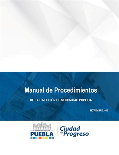 Man Proc Dir Seguridad P B Manual De Procedimientos De La Direccin