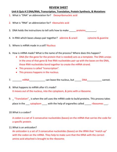 Dna And Rna Questions And Answers