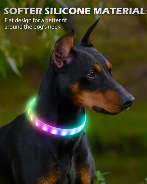 Joytale Hundehalsband Leuchtend LED Hundehalsband USB Aufladbar