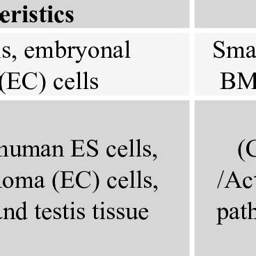 Categories of embryonic stem cell markers. | Download Scientific Diagram