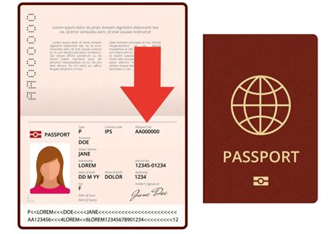 What Is A Passport Travel Document Number 2024 Guide