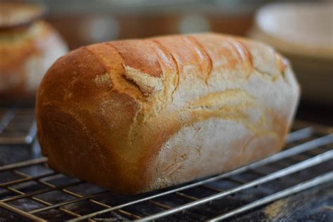 How To Make Artisan Bread From Home | Culinary Crafts